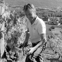 vigneron PIERRE GENOUX