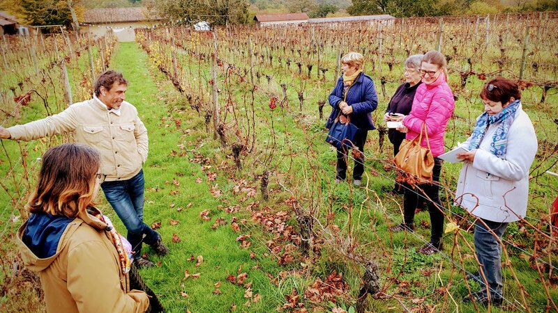 Domaine du bout du monde