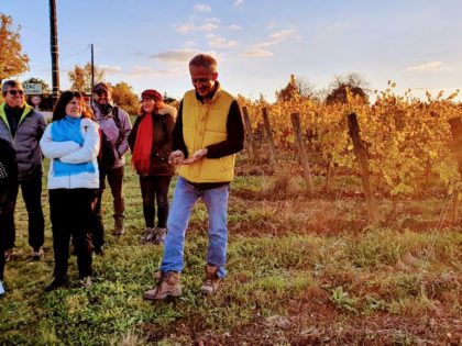 Vigneron du domaine le payral