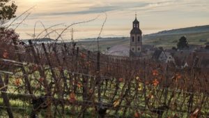 Vignoble Alsacien à Riquewihr