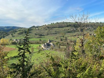 Vigonble en Aveyron